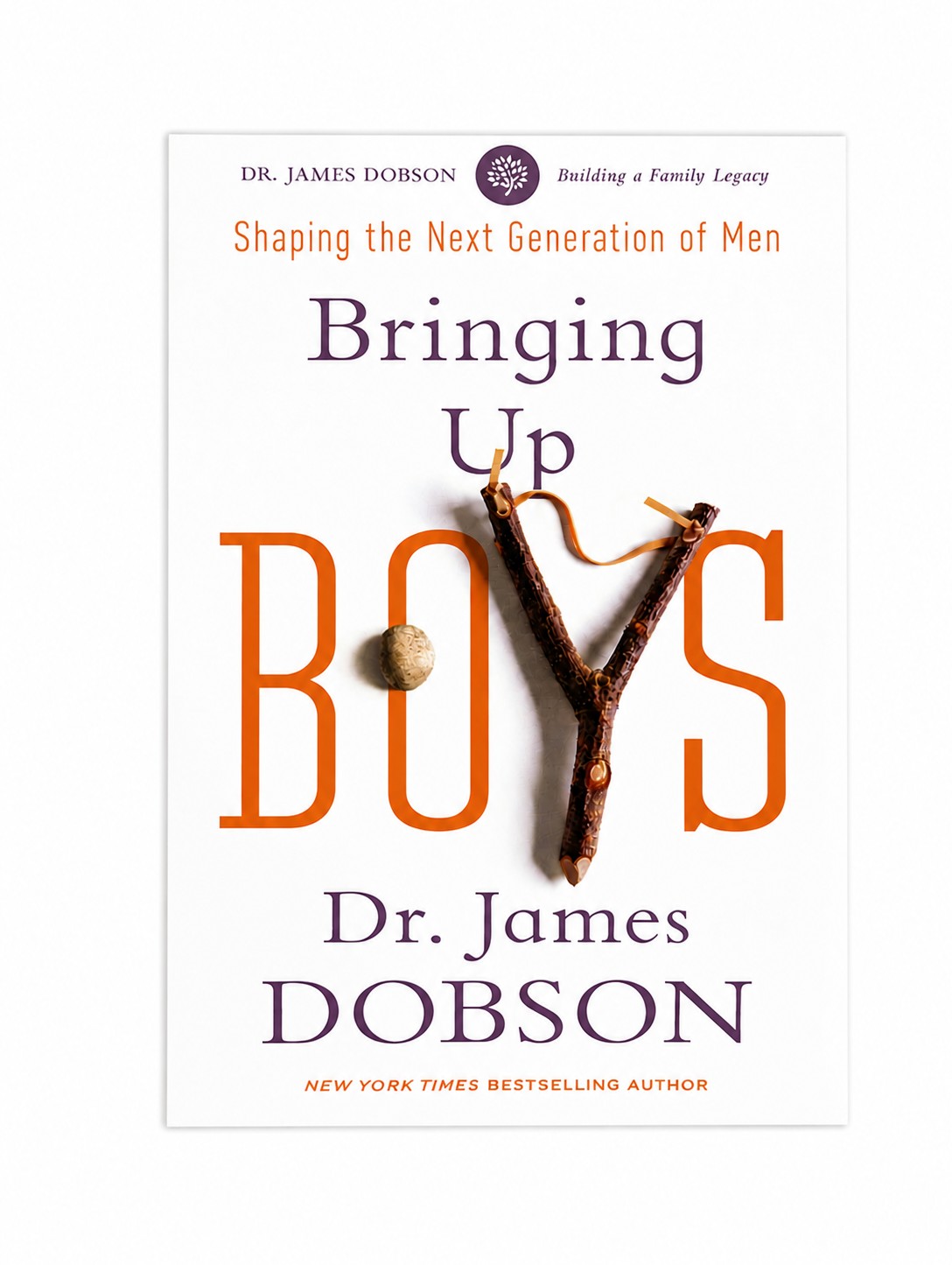 Book Bringing Up Boys by Dr James Dobson